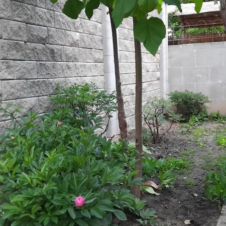 Guest House Одеса Стая снимка
