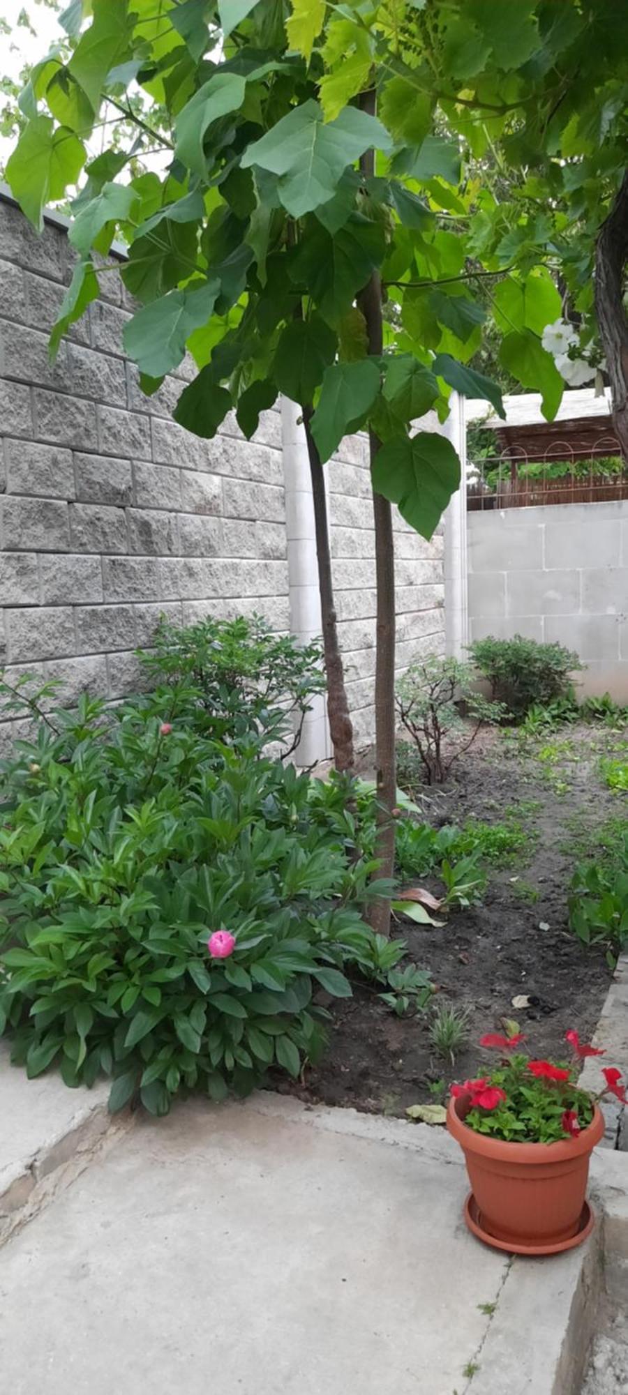 Guest House Одеса Стая снимка